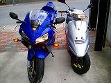 �A�h���XV100�@�X�Y�L�@�̃R���e���c